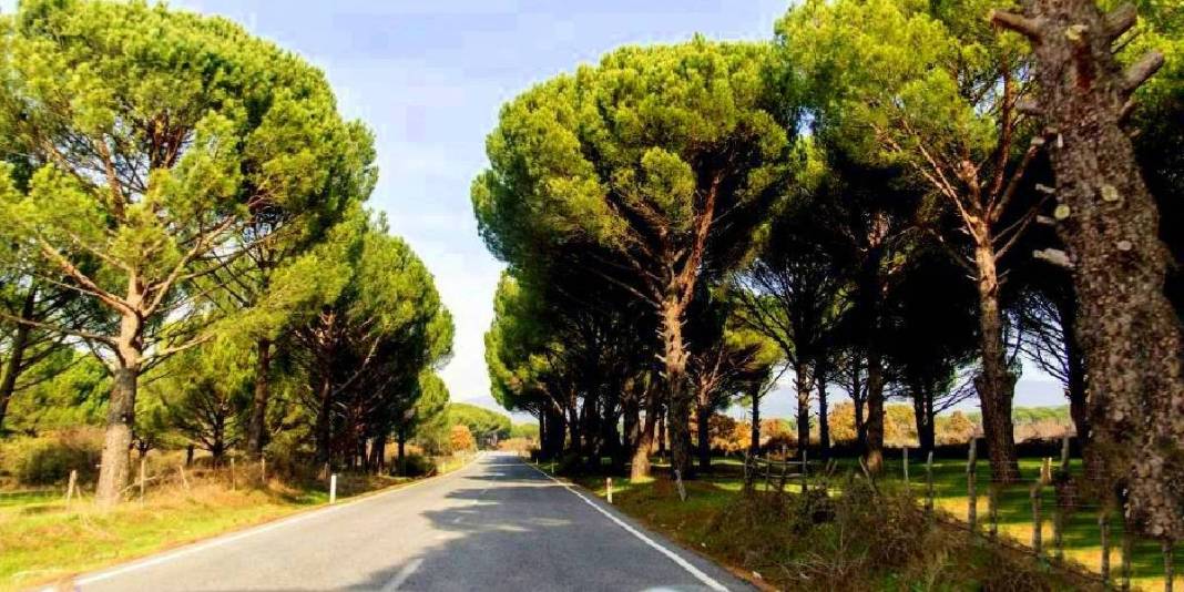 500-1000 metrelik rakımda doğa harikası! Buraya giren çıkmak istemiyor: İster kamp için ister karavan için… 4